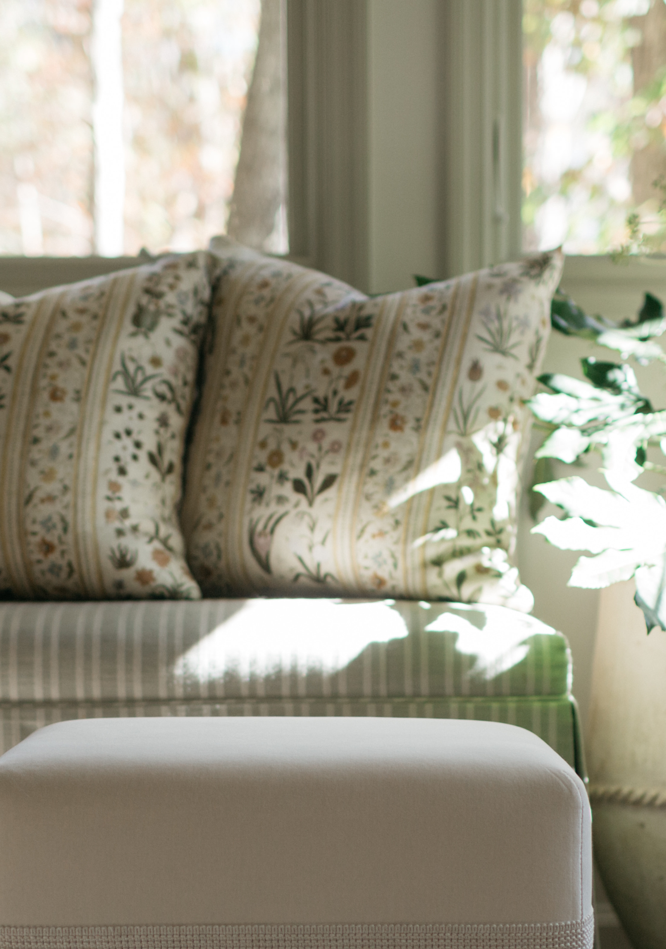 Botanico Pillows as accent decor in living room setting – Page House Studio