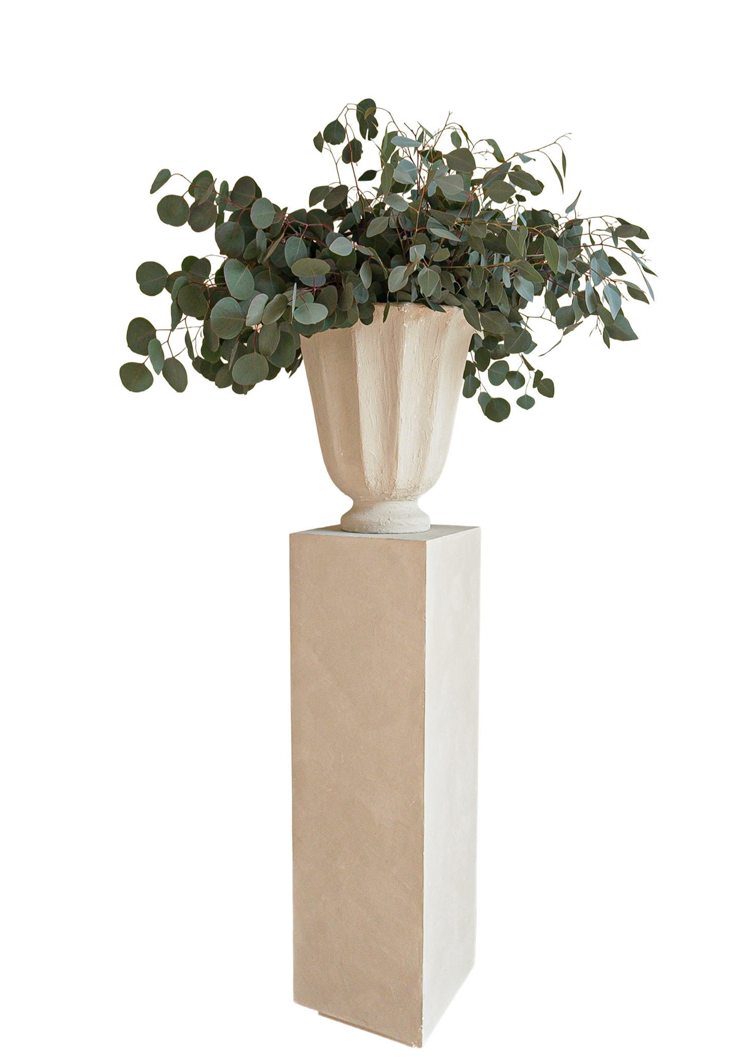 Dillon Vessel