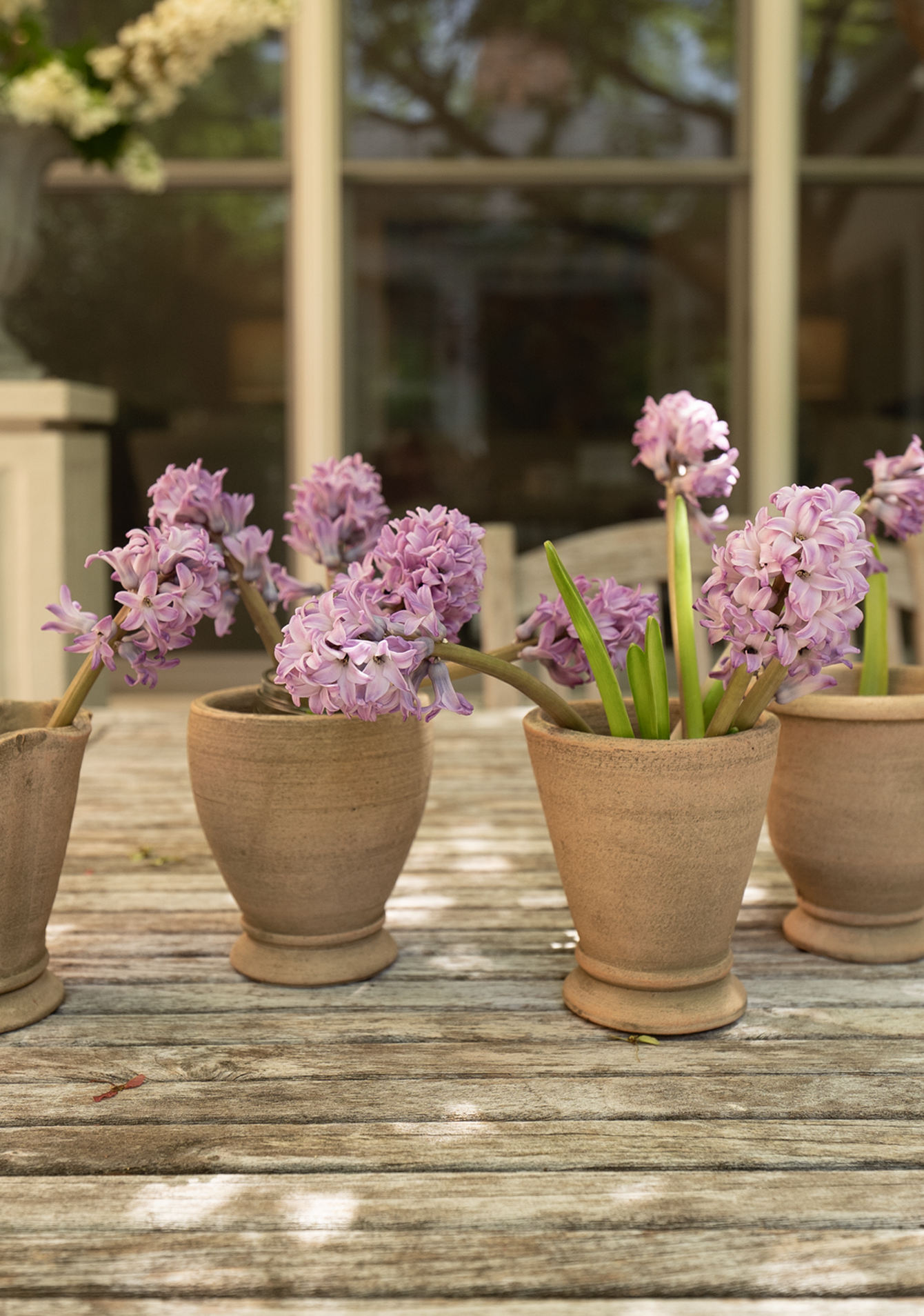 Terra Vase Set