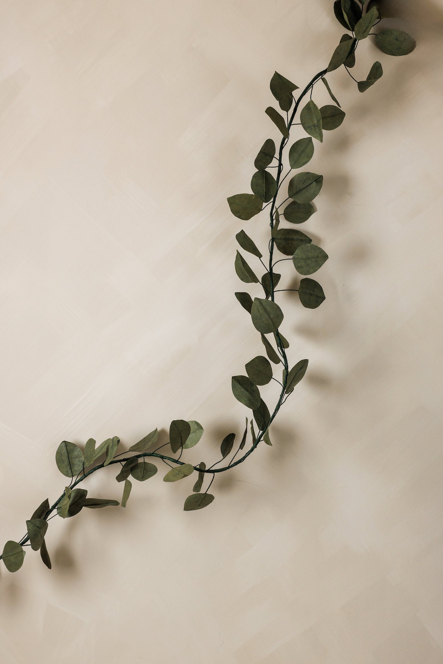 Foglia Vine - Page House Studio