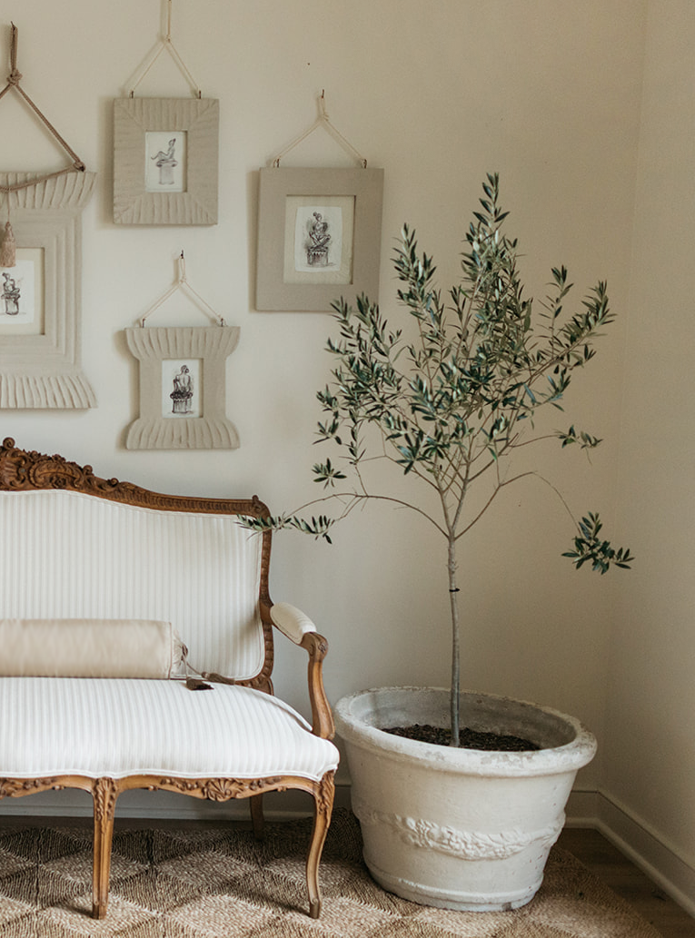 Lucia Frame - Page House Studio