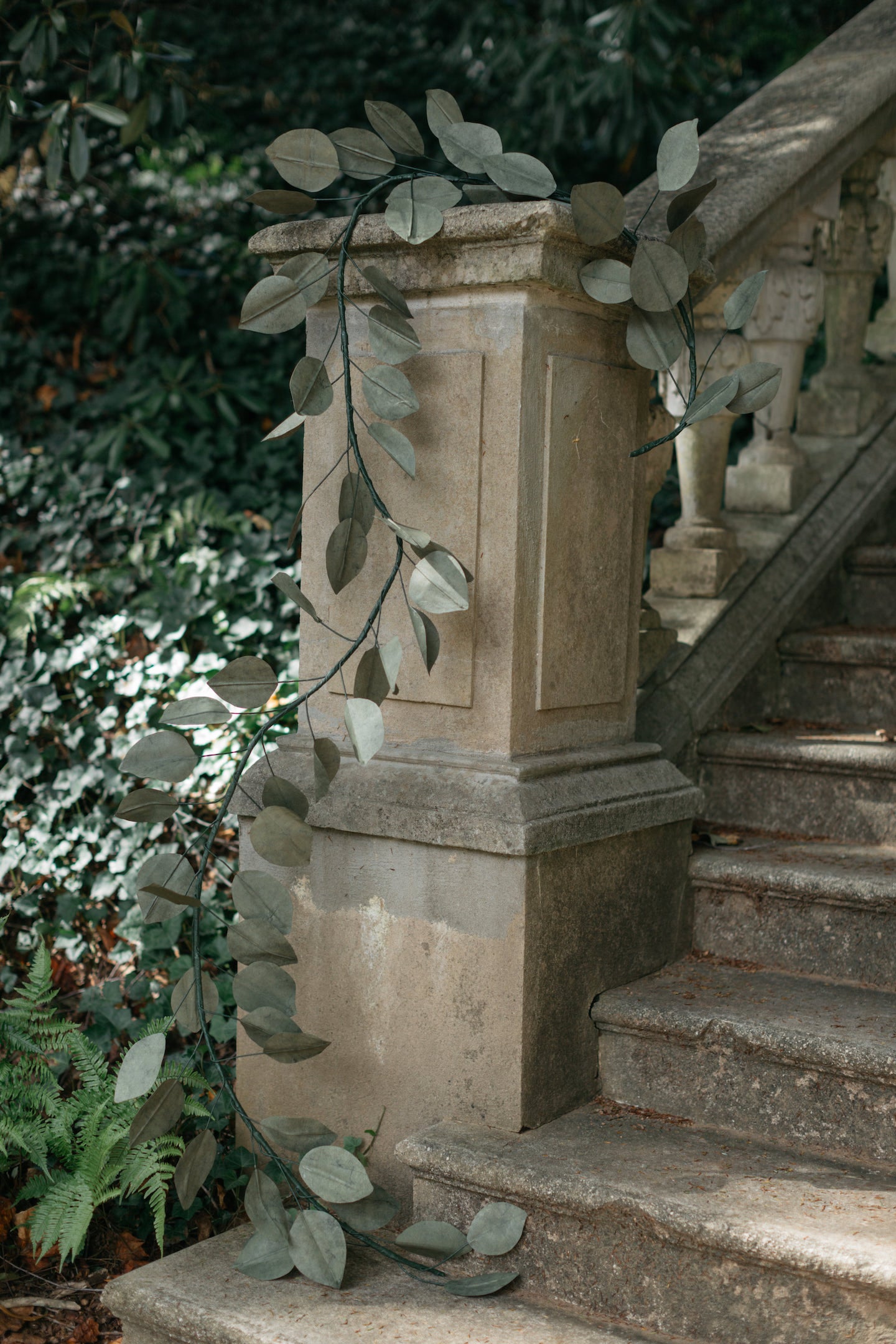 Foglia Vine - Page House Studio