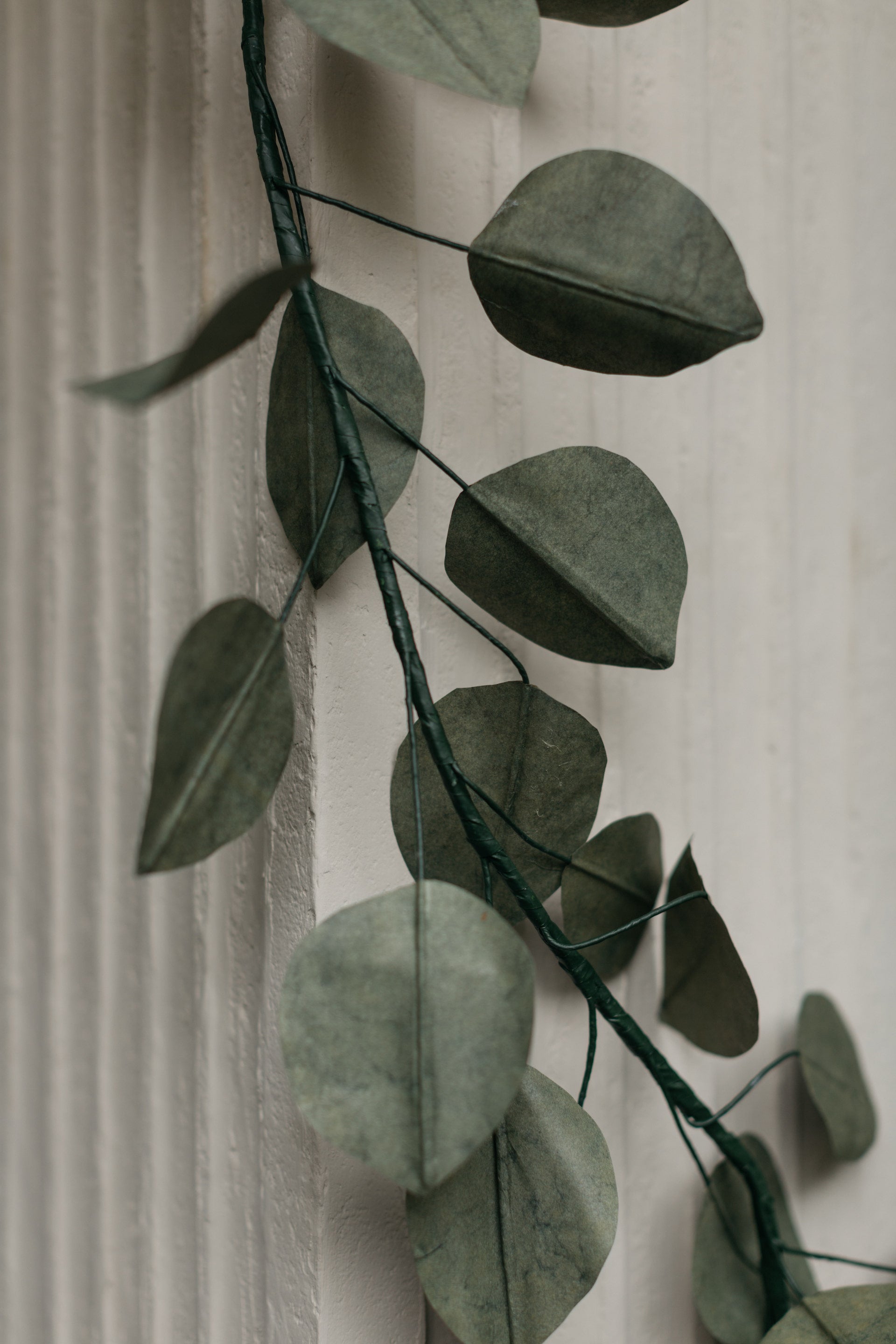 Foglia Vine - Page House Studio