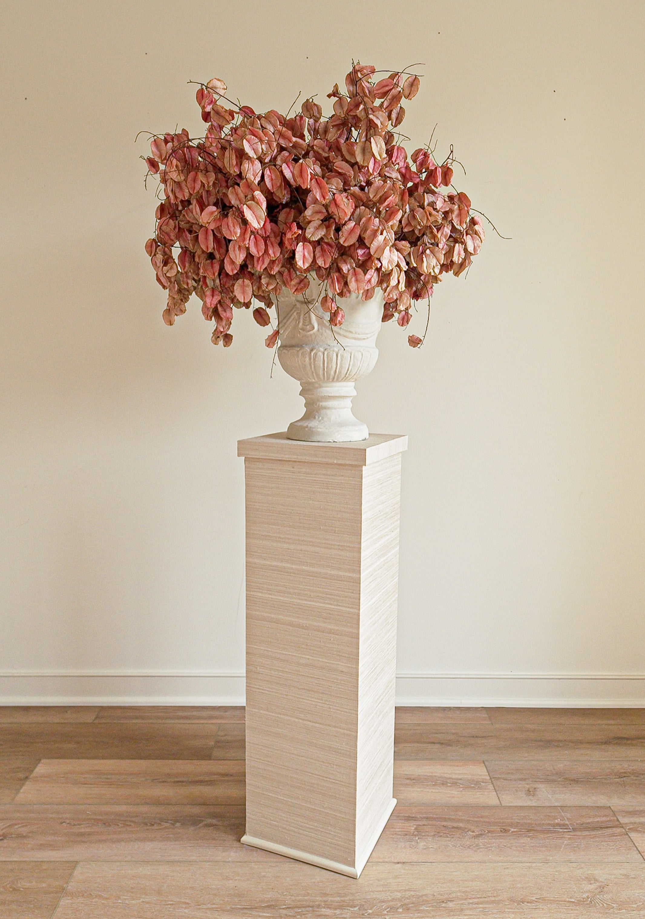 Vera Vessel