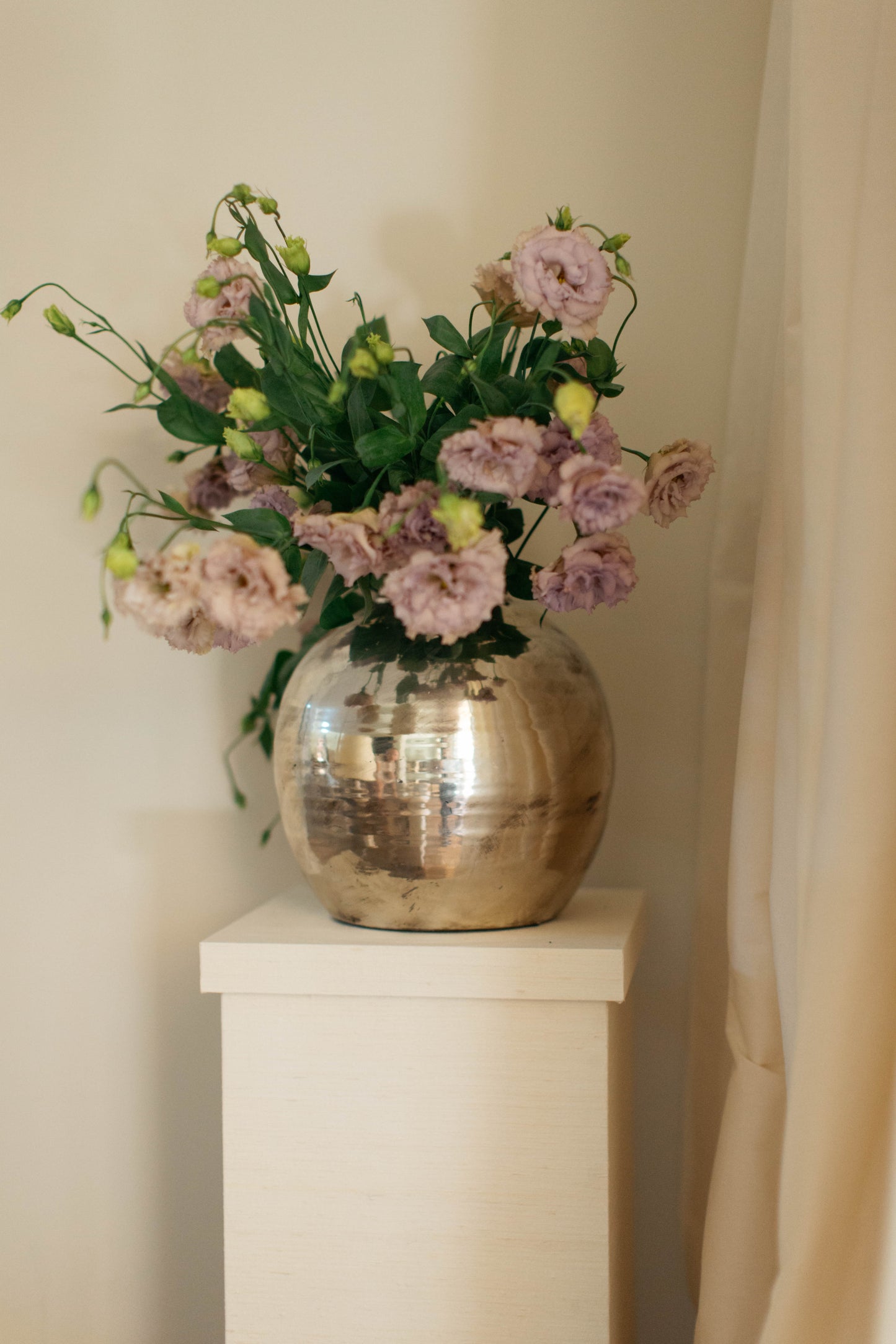 Naomi Pedestal, Oyster