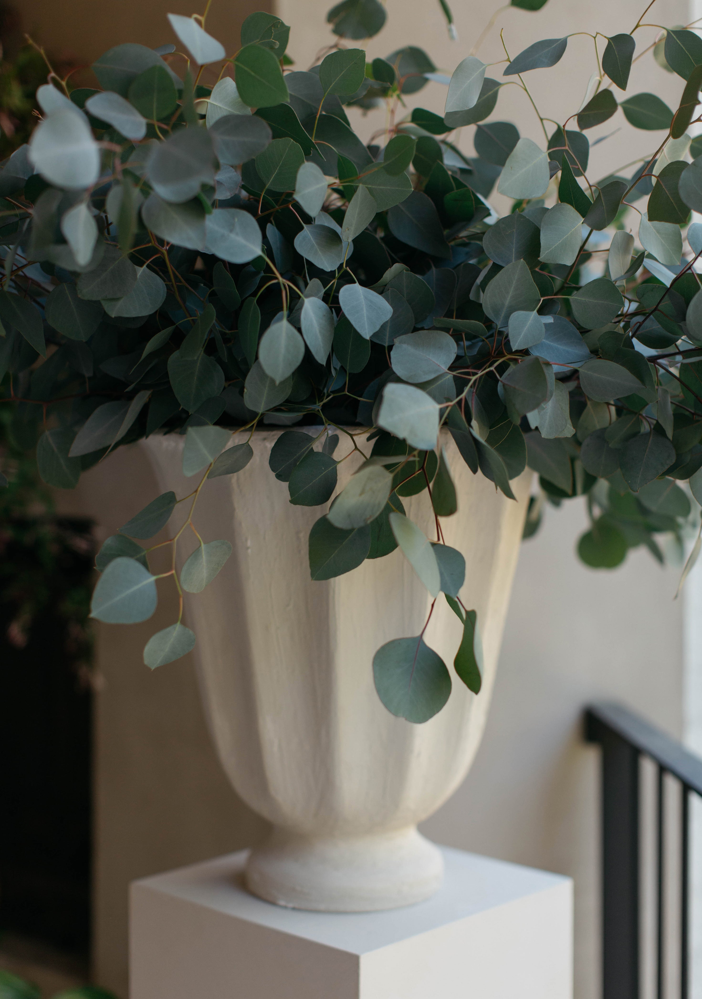 Dillon Pedestal and Vessel Set - Page House Studio